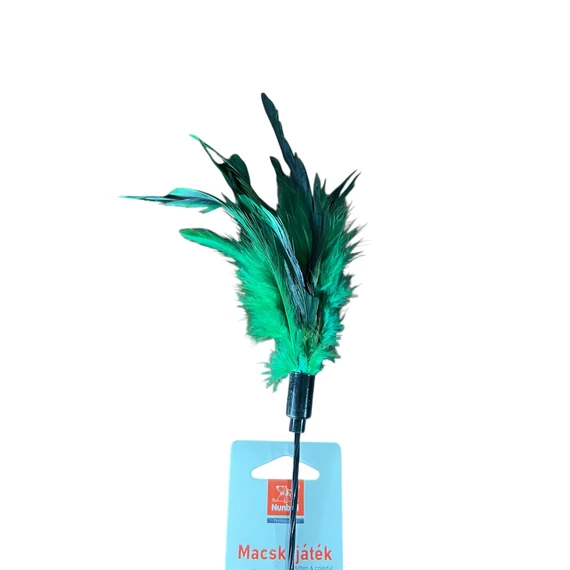 Tollas pálcás macskajáték – interaktív vadászat otthon